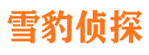 石泉侦探公司